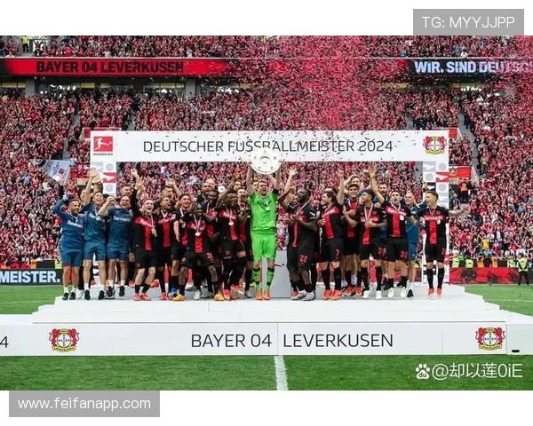 德甲联赛球队均拥有专业足球场的现状