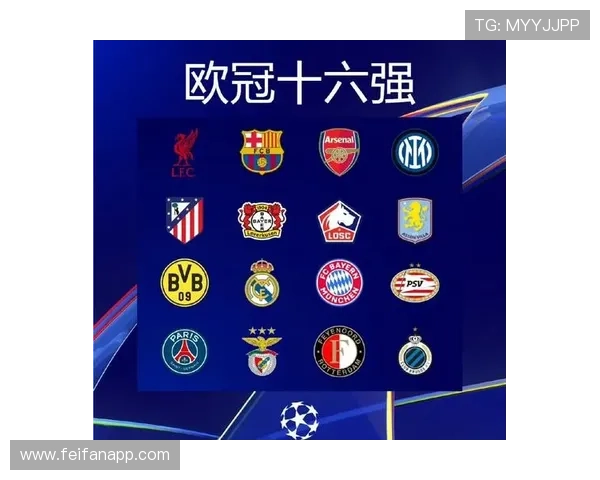 德甲进军欧战球队盘点